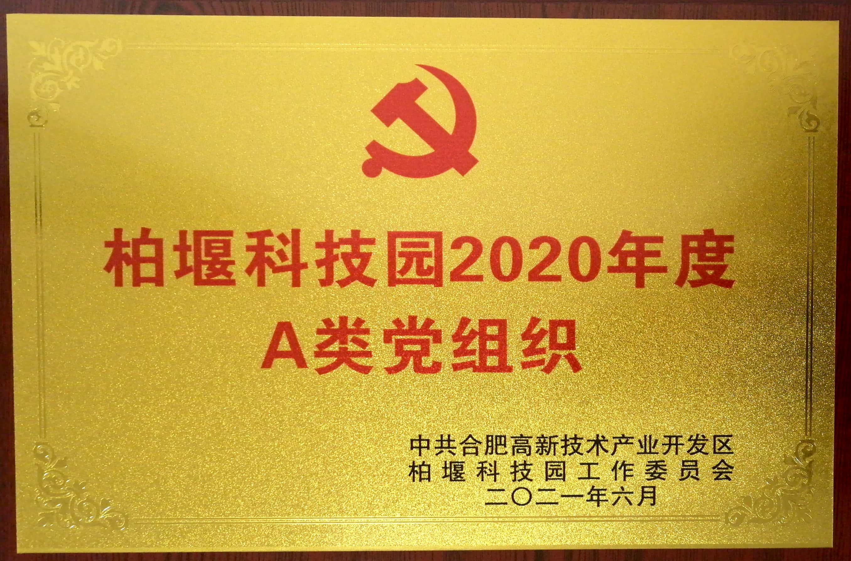 ιʵ֧Ϊ߿Ƽ԰2020A൳֯