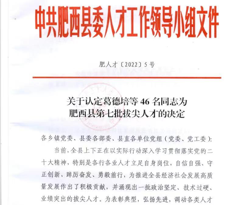 永鑫国际医疗总司理荣获“肥西县第七批拔尖人才”声誉称呼 永鑫国际医疗总司理荣获“肥西县第七批拔尖人才”声誉称呼