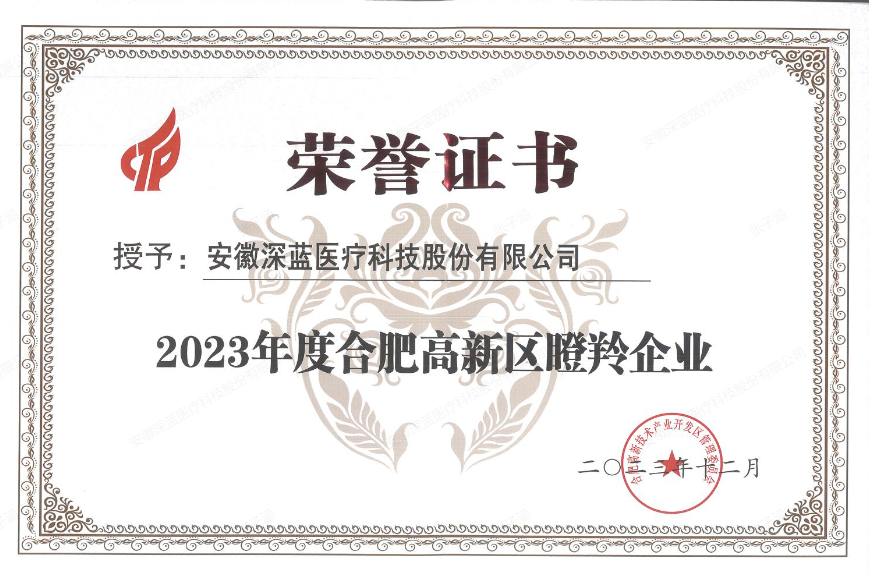 2023ȺϷʸҵ
